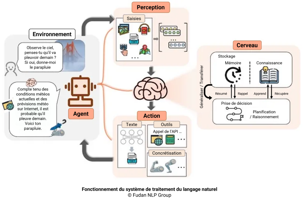 Illustration expliquant le fonctionnement du système de traitement du langage naturel qu'utilisent les LLM