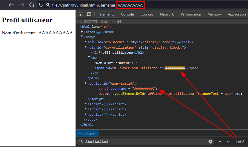 Capture d'écran du code JavaScript d'un filtre personnalisé dans le cadre d'une injection XSS.